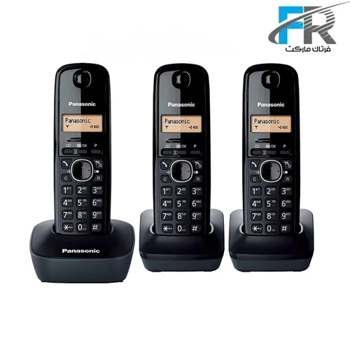 گوشی تلفن بی سیم پاناسونیک مدل KX-TG1613